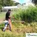STIHL FS 240 - УНИВЕРСАЛЕН ПРОФЕСИОНАЛЕН БЕНЗИНОВ ДВУТАКТОВ ТРИМЕР С 42 СМ ДИАМЕТЪР НА КОСЕНЕ STIHL FS 240 - УНИВЕРСАЛЕН ПРОФЕСИОНАЛЕН БЕНЗИНОВ ДВУТАКТОВ ТРИМЕР С 42 СМ ДИАМЕТЪР НА КОСЕНЕ